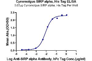 ELISA image for Signal-Regulatory Protein alpha (SIRPA) (AA 31-370) protein (His tag) (ABIN7275650)