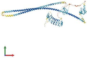 AlphaFold protein structure predicition of Human Recombinant LRSAM1 Protein, UniprotID Q6UWE0