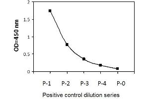 HT29 cells were treated with Calyculin A. (IRF3 ELISA 试剂盒)