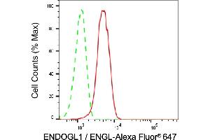 Flow cytometric analysis of Exo/Endonuclease G expression in HepG2 cells using Exo/Endonuclease G antibody (ABIN7798438), 1:2,000). (Recombinant EXOG 抗体)