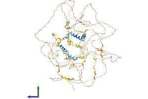AlphaFold protein structure predicition of Human Recombinant SYNPO Protein, UniprotID Q8N3V7