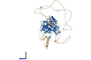 AlphaFold protein structure predicition of Human Recombinant TTK Protein, UniprotID P33981