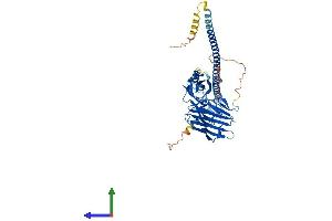 AlphaFold protein structure predicition of Human Recombinant FSD1L Protein, UniprotID Q9BXM9