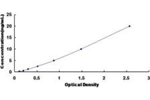 Typical standard curve (SCNN1B ELISA 试剂盒)