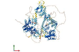 Protein Structure (PS) image for Mitogen-Activated Protein Kinase Kinase Kinase 5 (MAP3K5) (AA 1-1374) protein (His tag) (ABIN7554476)