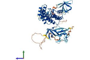 Protein Structure (PS) image for Neutrophil Cytosolic Factor 2 (NCF2) (AA 1-525) protein (His tag) (ABIN7562509)