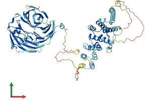 AlphaFold protein structure predicition of Human Recombinant NOL11 Protein, UniprotID Q9H8H0