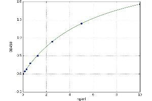 Unc-5 Homolog C (C. Elegans) (Unc5c) ELISA Kit