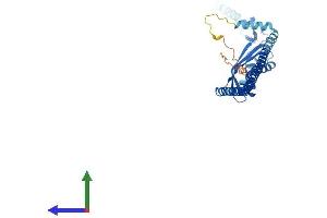 Protein Structure (PS) image for ER Lipid Raft Associated 2 (ERLIN2) (AA 1-339) protein (His tag) (ABIN7553846)
