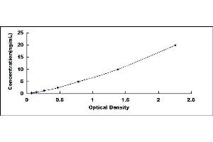 Typical standard curve (DNMT3B ELISA 试剂盒)