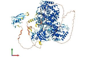 AlphaFold protein structure predicition of Human Recombinant DHX9 Protein, UniprotID Q08211