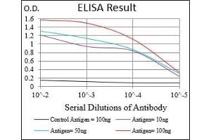 Black line: Control Antigen (100 ng), Purple line: Antigen(10 ng), Blue line: Antigen (50 ng), Red line: Antigen (100 ng), (Prolactin 抗体  (AA 65-173))