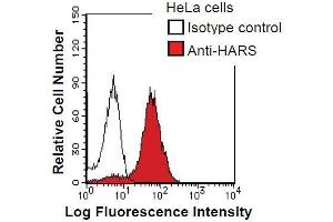 HeLa cells were fixed in 2% paraformaldehyde/PBS and then permeabilized in 90% methanol. (HARS1/Jo-1 抗体)