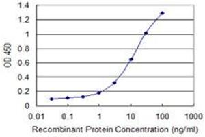 Detection limit for recombinant GST tagged DDX43 is 0. (DDX43 抗体  (AA 2-90))