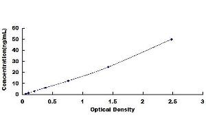 Typical standard curve (SLC5A2 ELISA 试剂盒)