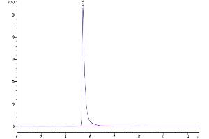 Size-exclusion chromatography-High Pressure Liquid Chromatography (SEC-HPLC) image for SARS-CoV-2 Spike S1 protein (Fc-Avi Tag,Biotin) (ABIN7275553)
