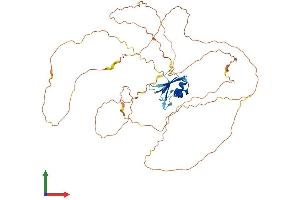 Protein Structure (PS) image for RNA Binding Motif Protein, Y-Linked Family 1 Member A1 (RBMY1A1) (AA 1-496) protein (His tag) (ABIN7551296)