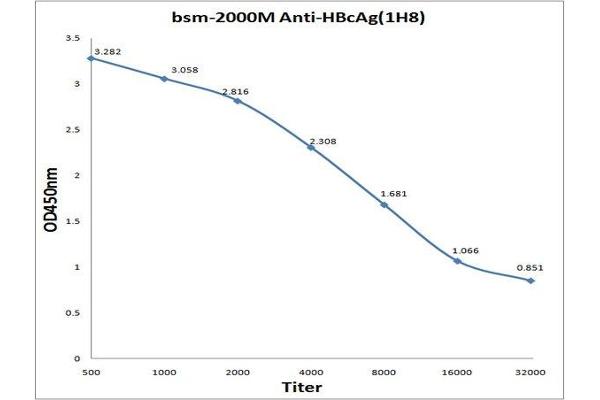 Hepatitis B Virus Core Antigen (HBcAg) 抗体