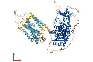 Protein Structure (PS) image for 3-Hydroxy-3-Methylglutaryl-CoA Reductase (HMGCR) (AA 1-888) protein (His tag) (ABIN7554104)