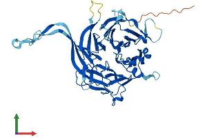 AlphaFold protein structure predicition of Mouse Recombinant Ppp2r2d Protein, UniprotID Q925E7