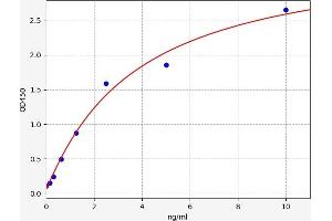 Typical standard curve (LAP3 ELISA 试剂盒)