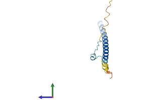 Protein Structure (PS) image for Small Nuclear RNA Activating Complex, Polypeptide 5, 19kDa (SNAPC5) (AA 1-98) protein (His tag) (ABIN7546291)