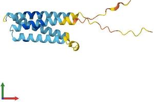 Protein Structure (PS) image for Chemokine-Like Factor (CKLF) (AA 1-152) protein (His tag) (ABIN7561242)