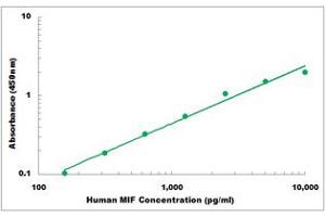 Representative Standard Curve (MIF ELISA 试剂盒)