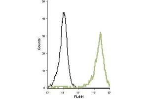 Flow Cytometry (FACS) image for anti-Potassium Voltage-Gated Channel, Shaker-Related Subfamily, Member 5 (KCNA5) (AA 268-279), (Extracellular) antibody (ABIN7043529)