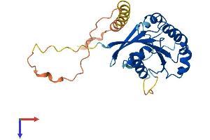 Protein Structure (PS) image for ADP-Ribosylation Factor-Like 10 (ARL10) (AA 1-244) protein (His tag) (ABIN7552336)
