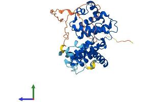 AlphaFold protein structure predicition of Mouse Recombinant Ccno Protein, UniprotID P0C242 (Cyclin O Protein (CCNO) (AA 1-352) (His tag))