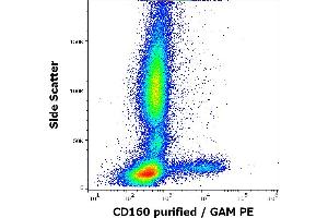 Flow cytometry surface staining pattern of human peripheral whole blood stained using anti-human CD160 (BY55) purified antibody (concentration in sample 5 μg/mL, GAM PE). (CD160 抗体)