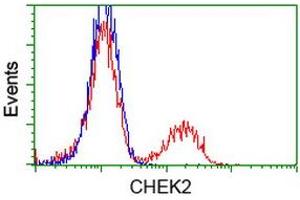 Flow Cytometry (FACS) image for anti-Checkpoint Kinase 2 (CHEK2) antibody (ABIN1497497) (CHEK2 抗体)