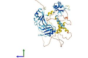 Protein Structure (PS) image for CUGBP, Elav-Like Family Member 1 (CELF1) (AA 1-486) protein (His tag) (ABIN7553307)