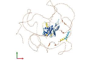 Protein Structure (PS) image for Establishment of Cohesion 1 Homolog 1 (ESCO1) (AA 1-840) protein (His tag) (ABIN7553864)