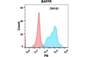 Flow cytometry analysis with Anti-BAFFR (DM143) on Expi293 cells transfected with human BAFFR (Blue histogram) or Expi293 transfected with irrelevant protein (Red histogram). (TNFRSF13C 抗体  (AA 7-71))
