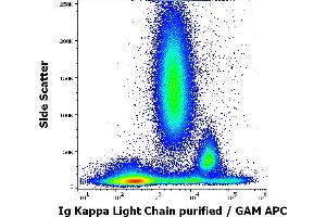 Flow cytometry surface staining pattern of human peripheral whole blood stained using anti-human Ig Kappa Light Chain (TB28-2) purified antibody (concentration in sample 0. (kappa Light Chain 抗体)