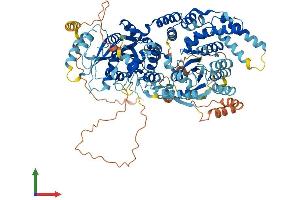 Protein Structure (PS) image for Upregulator of Cell Proliferation (URGCP) (AA 1-931) protein (His tag) (ABIN7555979)