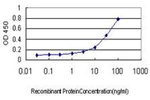 Detection limit for recombinant GST tagged GAPDHS is approximately 1ng/ml as a capture antibody. (GAPDHS 抗体  (AA 1-408))