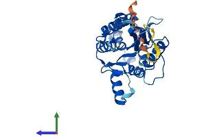AlphaFold protein structure predicition of Human Recombinant PHOSPHO1 Protein, UniprotID Q8TCT1