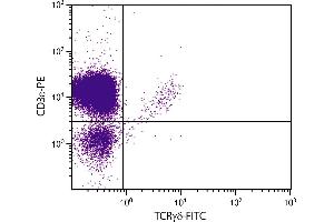 CD-1 mouse mesenteric lymph node cells were stained with Hamster Anti-Mouse TCRγδ-FITC. (TCRgd 抗体 (FITC))