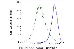Validation of HNRNPUL1 knockdown using flow cytometry.
