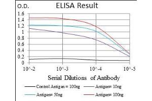 Black line: Control Antigen (100 ng), Purple line: Antigen(10 ng), Blue line: Antigen (50 ng), Red line: Antigen (100 ng), (CD74 抗体  (AA 1-106))