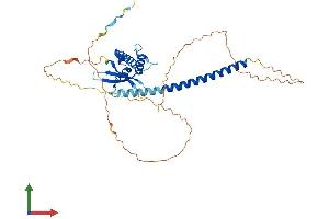 Protein Structure (PS) image for Sorting Nexin 16 (SNX16) (AA 1-344) protein (His tag) (ABIN7559065)