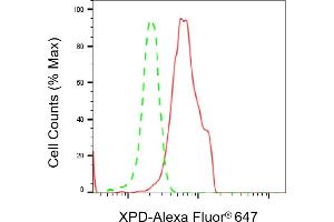 Flow cytometric analysis of XPD expression in HeLa cells using XPD antibody (ABIN7798540), 1:2,000). (Recombinant ERCC2 抗体)