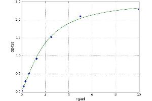 A typical standard curve (OCT4 ELISA 试剂盒)