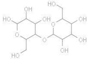 Maltose