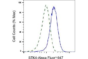 Flow cytometric analysis of STK4 expression in HepG2 cells using STK4 antibody (ABIN7800314), 1:2,000). (Recombinant STK4 抗体)