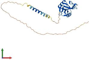 Protein Structure (PS) image for Killer Cell Lectin-Like Receptor Subfamily C, Member 2 (KLRC2) (AA 1-231) protein (His tag) (ABIN7549720)