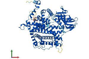 AlphaFold protein structure predicition of Mouse Recombinant Acox2 Protein, UniprotID Q9QXD1